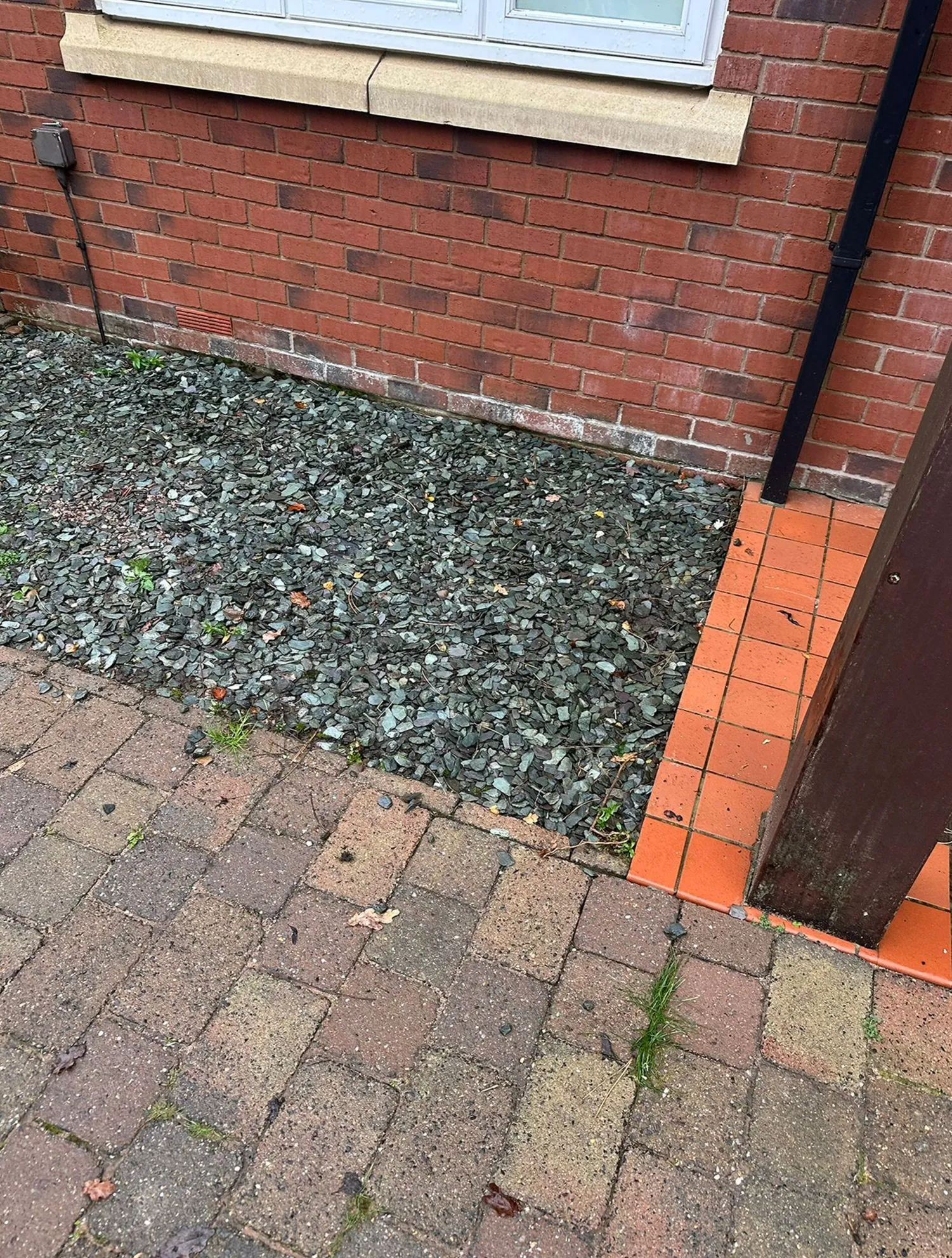 Commercial junk removal project in Essex County